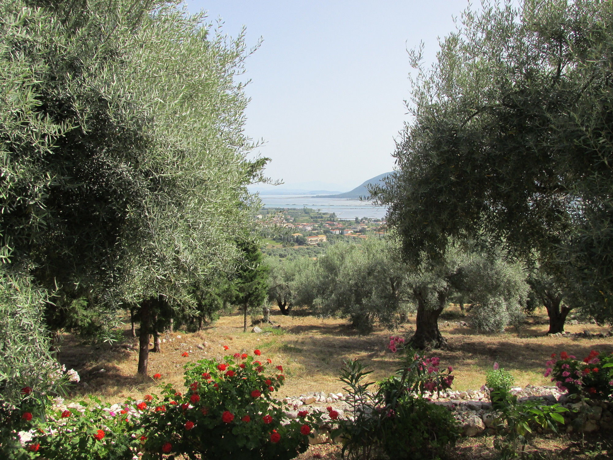 Harmony * Lygia (Lefkada)